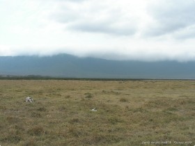 0817_Ngorongoro-19.jpg