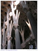 080107_26.SagradaFamilia09