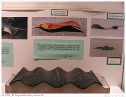 080107_42.SagradaFamilia_museum7