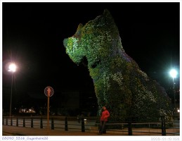 080110_53.bb_Gugenheim26