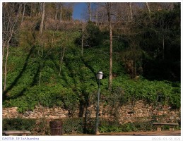 080118_19.ToAlhambra