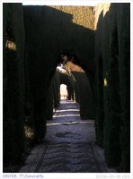 080118_77.Generalife
