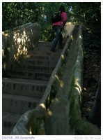 080118_88.Generalife