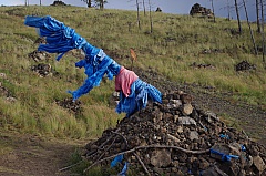 Thumbnail of 08-06.20-41.jpg