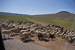 Thumbnail of 08-11.12-39.jpg