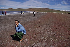 Thumbnail of 08-11.13-21.jpg