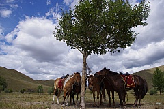 Thumbnail of 08-14.12-55.jpg