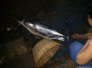 Thumbnail of 14-01-13.20-18-51.jpg