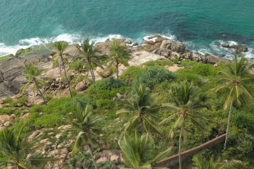 Thumbnail of 14-01-16.15-16-30.jpg