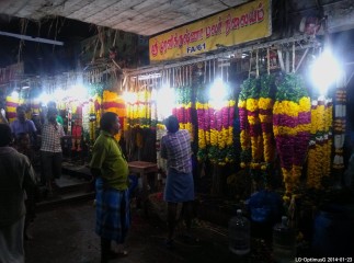 Thumbnail of 14-01-23.18-19-34.jpg