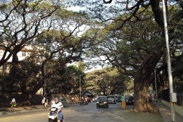 Thumbnail of 14-01-29.16-23-44.JPG