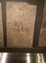 Thumbnail of 14-01-30.11-32-30.jpg