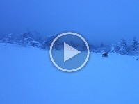 17-01-17.1442-Tabbogan02