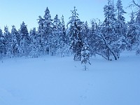 17-01-21.11-23-37  토끼가 뛰어간 길